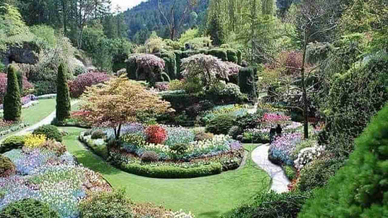 Garden of Five